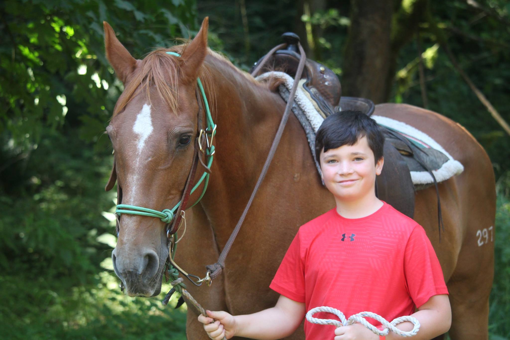 YMCA Camps Boy holds onto reigns of horse in nature
