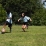 YMCA Soccer